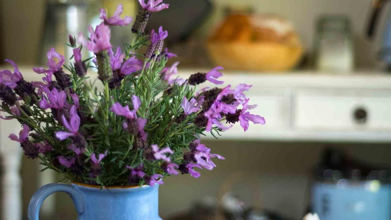 Vicarage View Cottage แคงการูวัลเลย์ ภายนอก รูปภาพ